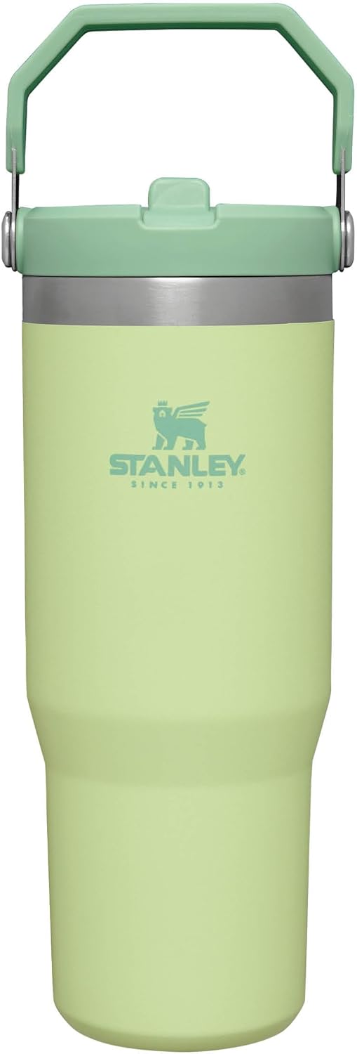 Termo STANLEY IceFlow
