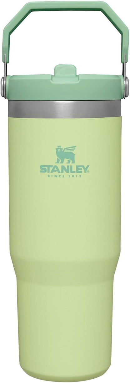 Termo STANLEY IceFlow